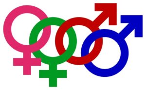 gender and orientation